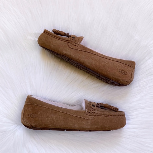 UGG Litney Chestnut Slipper For Outdoor/Indoor Use - Picture 5 of 8